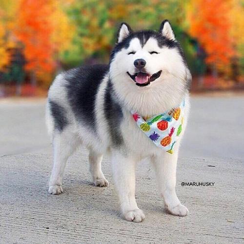 สมาชิกหมายเลข 3903155