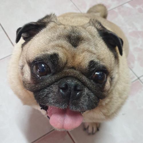 สมาชิกหมายเลข 1237845