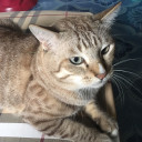 สมาชิกหมายเลข 1162801