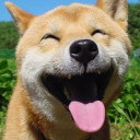 สมาชิกหมายเลข 2097278