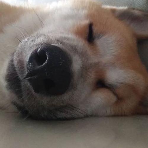 สมาชิกหมายเลข 5224214