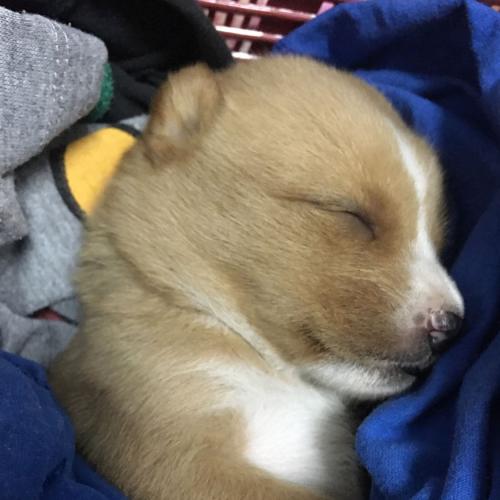 สมาชิกหมายเลข 6110669