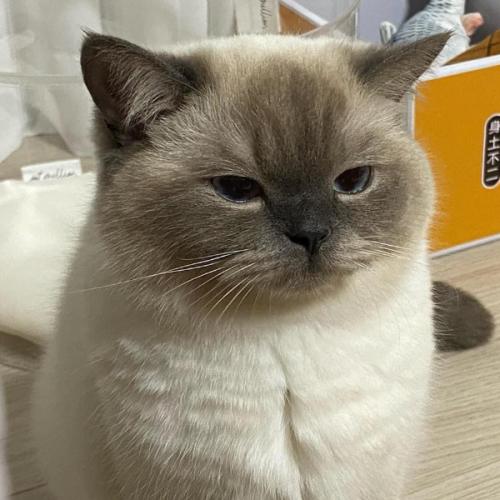 สมาชิกหมายเลข 2015361