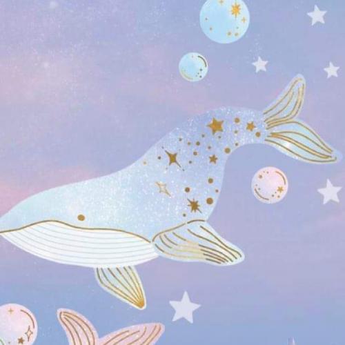 สมาชิกหมายเลข 6737661