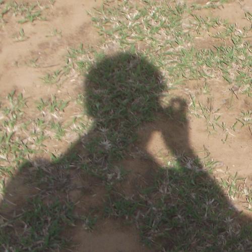 สมาชิกหมายเลข 6737931