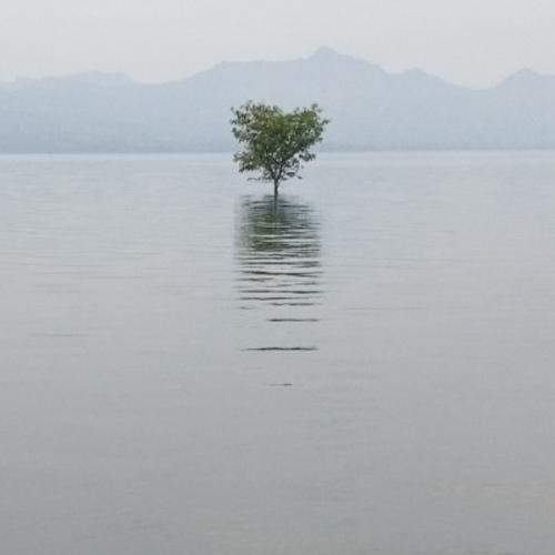 สมาชิกหมายเลข 6224994