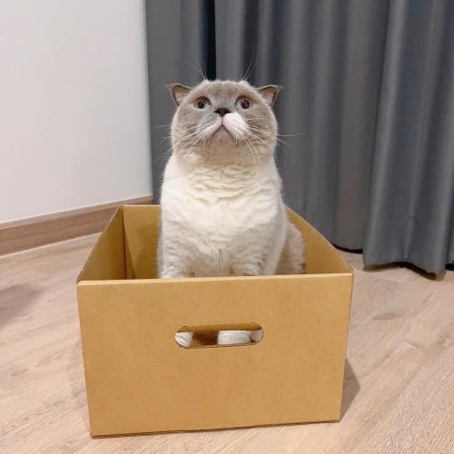 สมาชิกหมายเลข 6271576