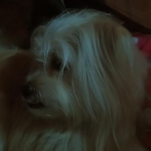 สมาชิกหมายเลข 7500194