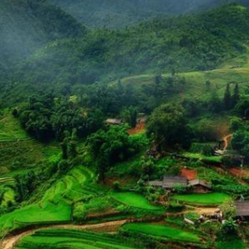 สมาชิกหมายเลข 4417504