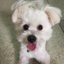 สมาชิกหมายเลข 3953982