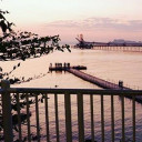 กินหญ้าก็อร่อยดีน่ะ