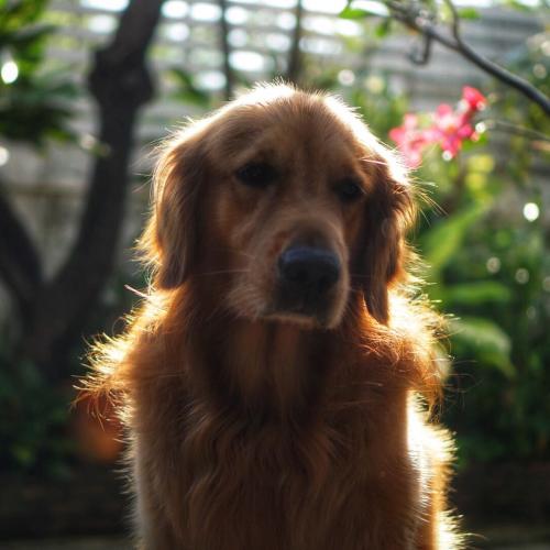 สมาชิกหมายเลข 1828943