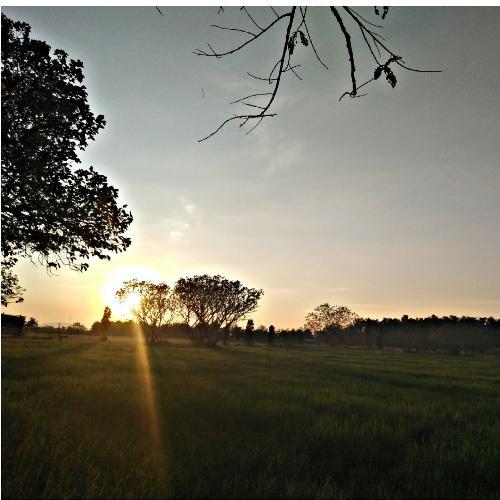 สมาชิกหมายเลข 2843183