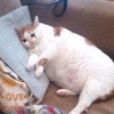 สมาชิกหมายเลข 5557123