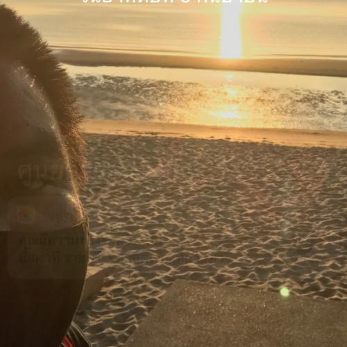 สมาชิกหมายเลข 1748907