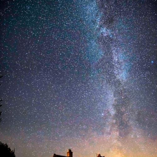 สมาชิกหมายเลข 6113510