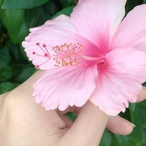 สมาชิกหมายเลข 7500962