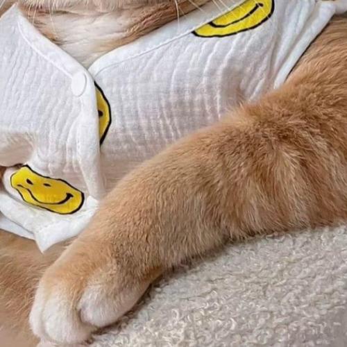 สมาชิกหมายเลข 8334751