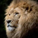 สมาชิกหมายเลข 719630