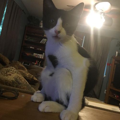 สมาชิกหมายเลข 2507549