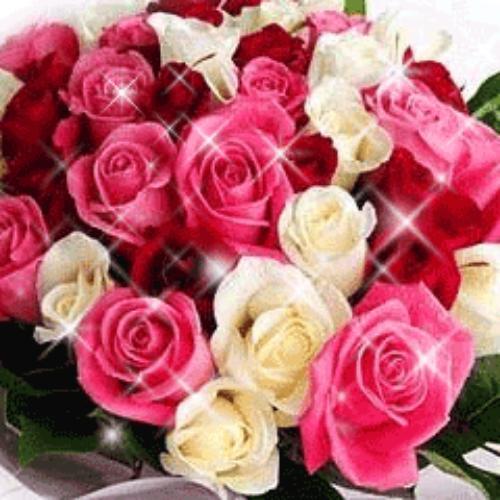 สมาชิกหมายเลข 1785881