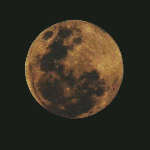 สมาชิกหมายเลข 4509102