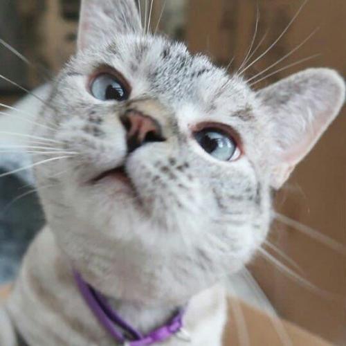 สมาชิกหมายเลข 5155393