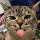 สมาชิกหมายเลข 5155438