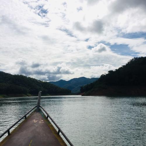 ยืนงงในดงลม