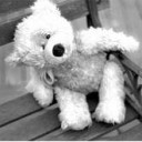 สมาชิกหมายเลข 5557323