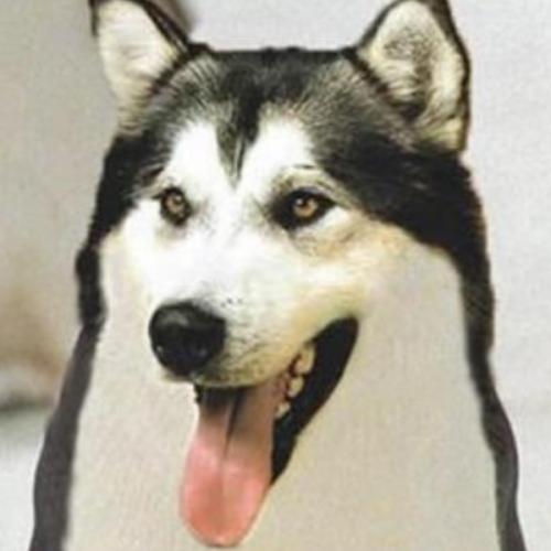 สมาชิกหมายเลข 1144092