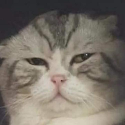 สมาชิกหมายเลข 8405815