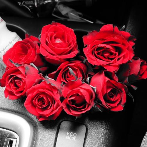 สมาชิกหมายเลข 4778511