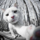 สมาชิกหมายเลข 1658539