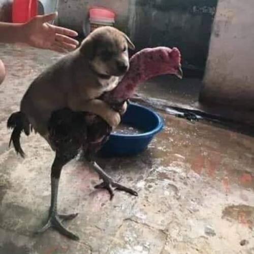 สมาชิกหมายเลข 5358037