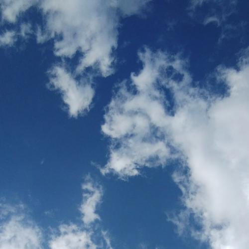 สมาชิกหมายเลข 5558064