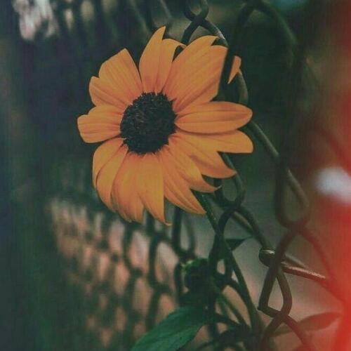 สมาชิกหมายเลข 6114517