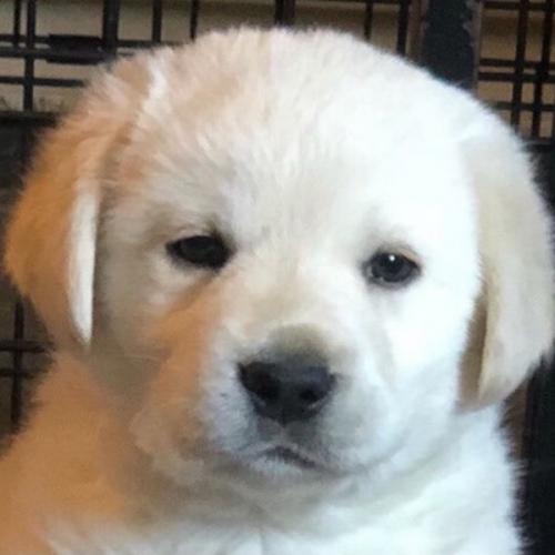 สมาชิกหมายเลข 6739520