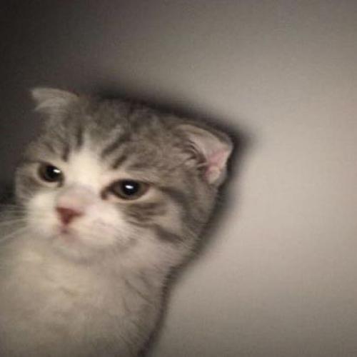 สมาชิกหมายเลข 6739668