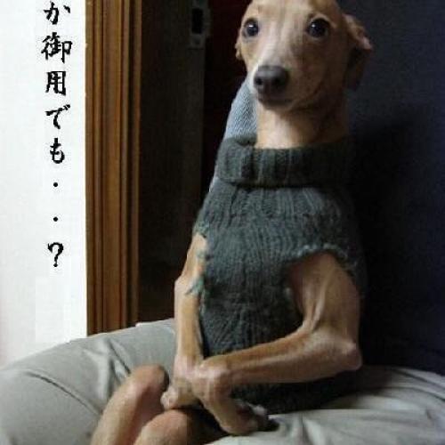 สมาชิกหมายเลข 979904