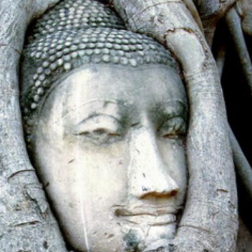 สมาชิกหมายเลข 3633029