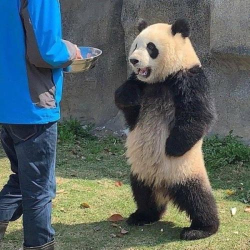 สมาชิกหมายเลข 4008223