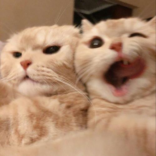 สมาชิกหมายเลข 7502366