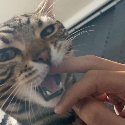 สมาชิกหมายเลข 6714207