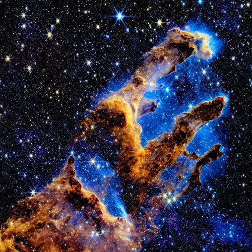 สมาชิกหมายเลข 8208019