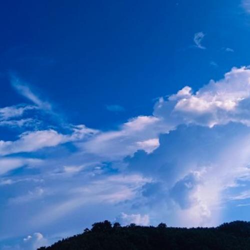 สมาชิกหมายเลข 8406611