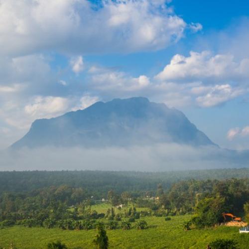 สมาชิกหมายเลข 8407295