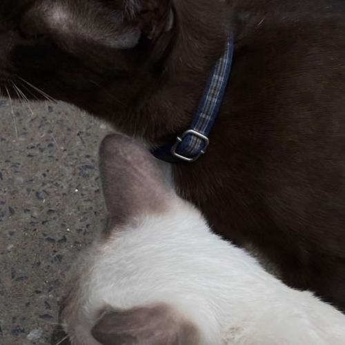 สมาชิกหมายเลข 8407391