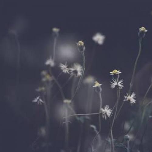 สมาชิกหมายเลข 2796149