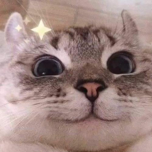 สมาชิกหมายเลข 6114995